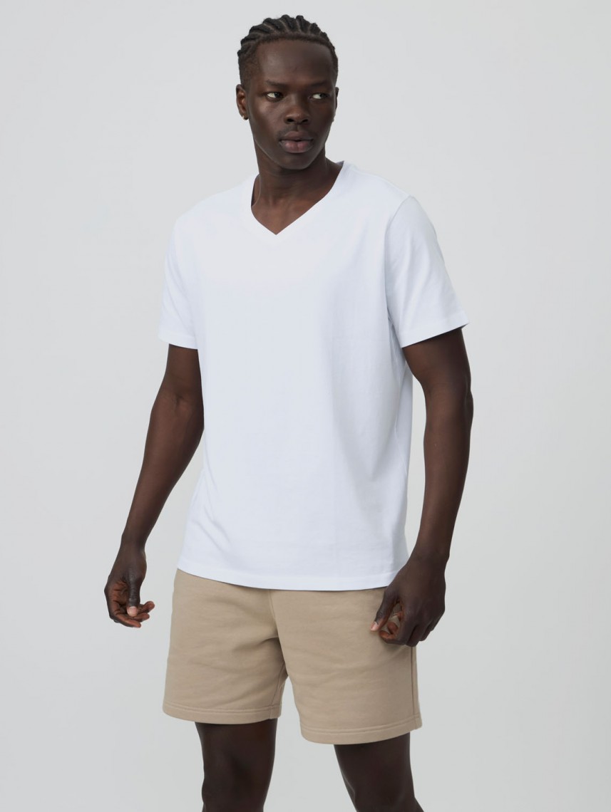 Basic V Neck Shirt Regular Fit