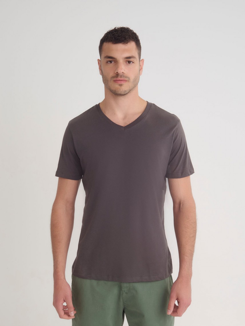 Basic V Neck Shirt Regular Fit