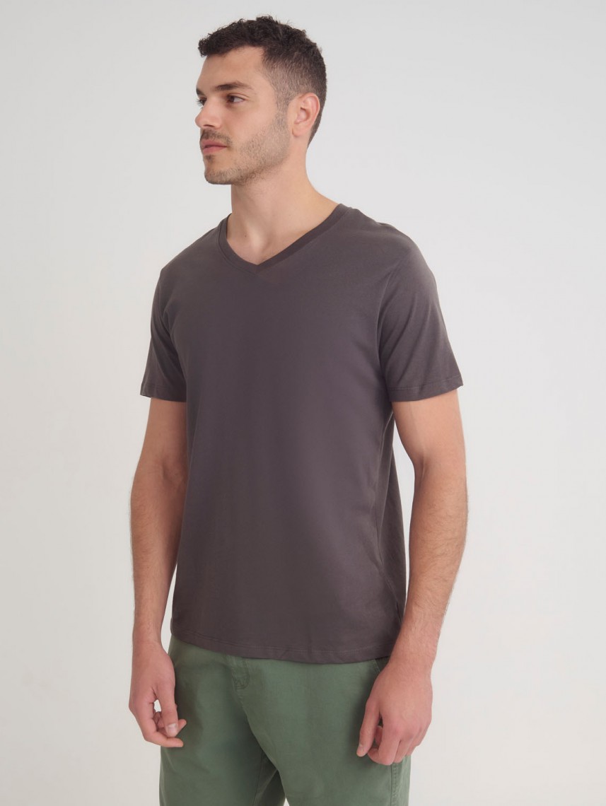 Basic V Neck Shirt Regular Fit