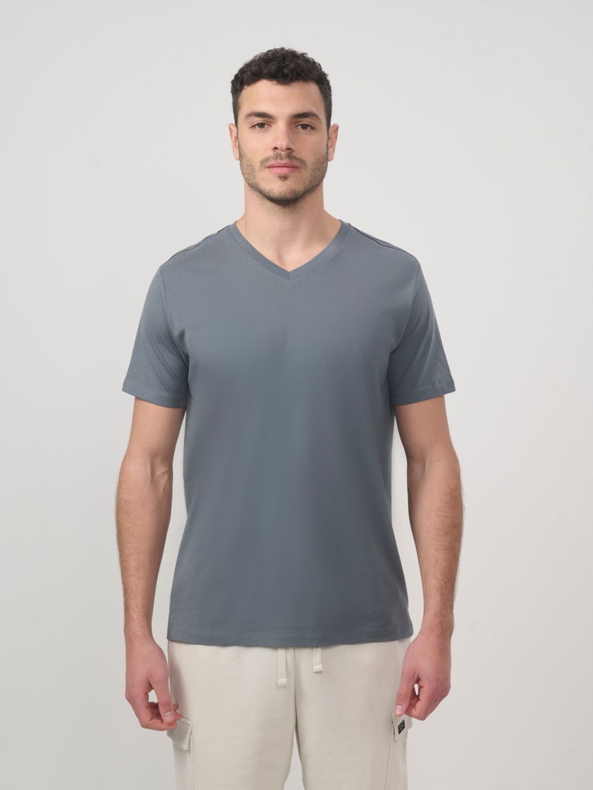 Basic V Neck Shirt Regular Fit