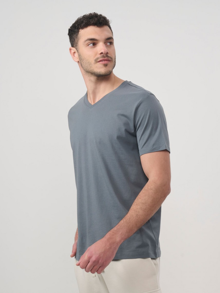 Basic V Neck Shirt Regular Fit