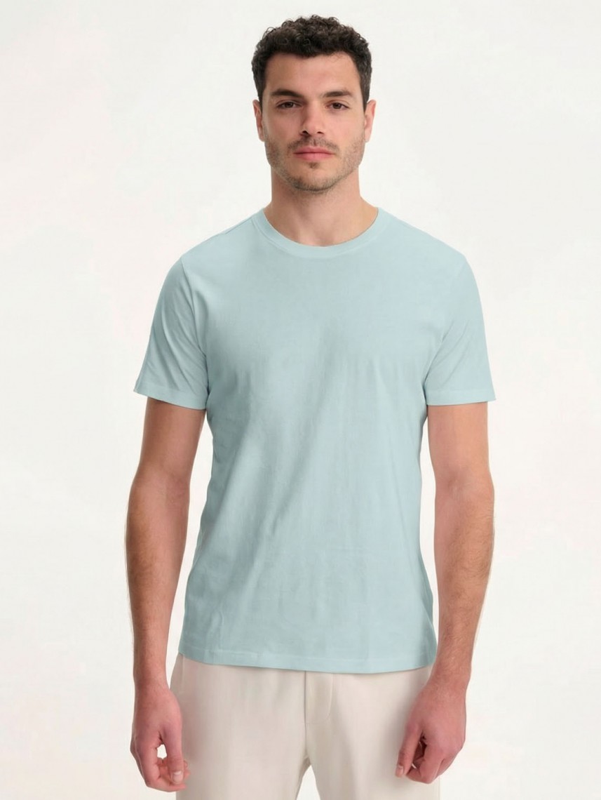 Basic Crew Neck Shirt Regular Fit